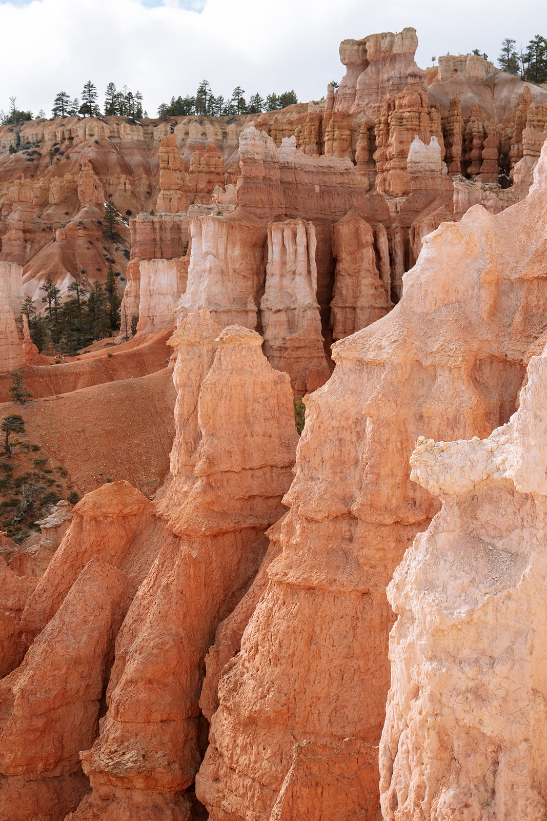 Scenic backdrop of Bryce Canyon, a favorite elopement spot for LGBTQ+ couples in Utah.