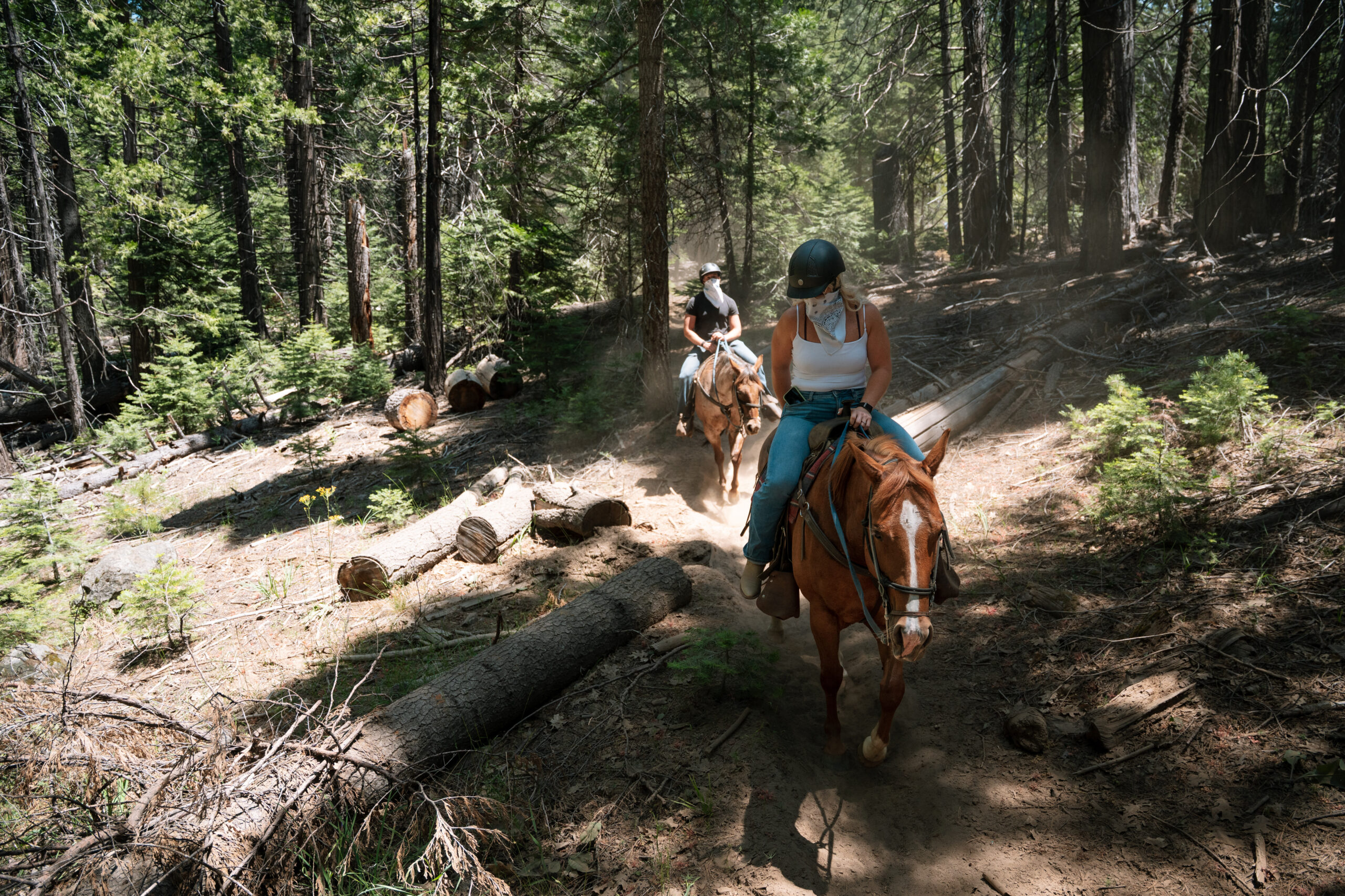 bride and groom riding horses