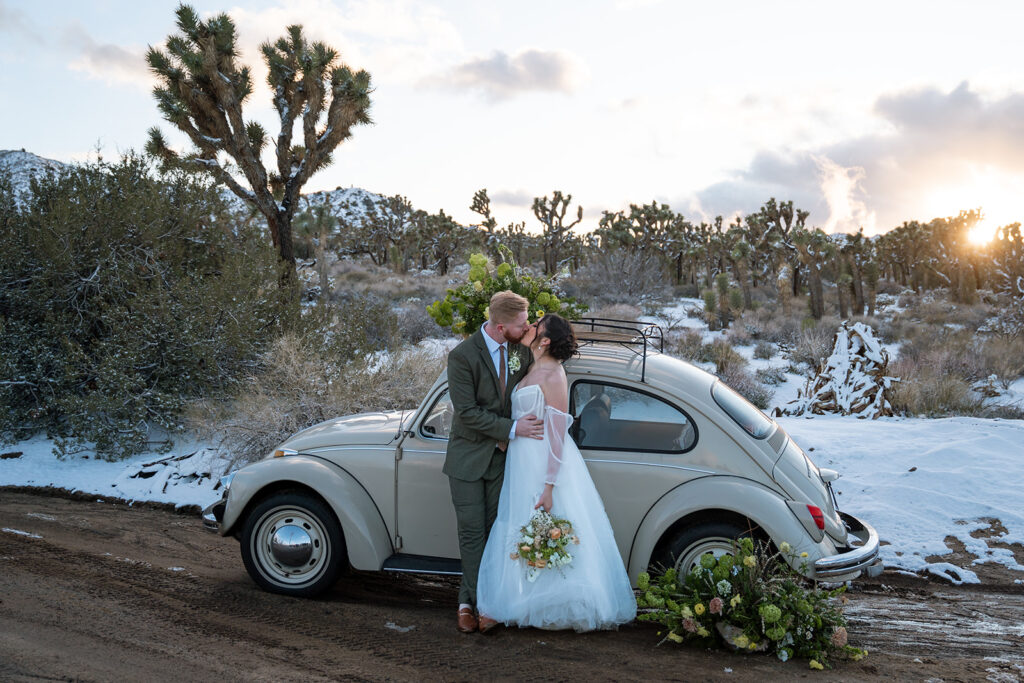 eloping in Joshua Tree national park with rented car